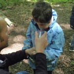 OLYMPUS DIGITAL CAMERA